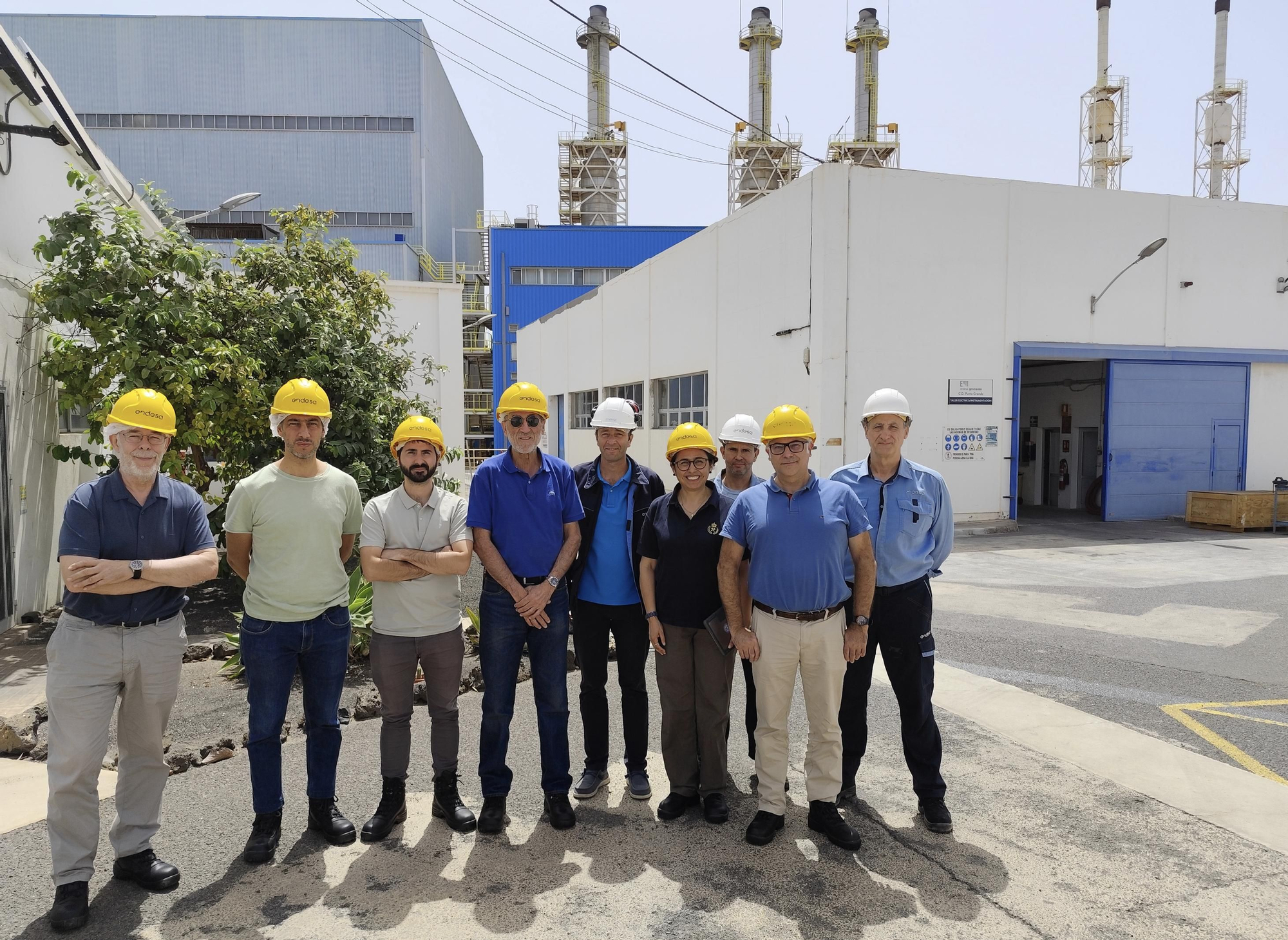Los profesores de la UPM y responsables de Endesa durante la visita a la Central Térmica de Punta Grande en Lanzarote.