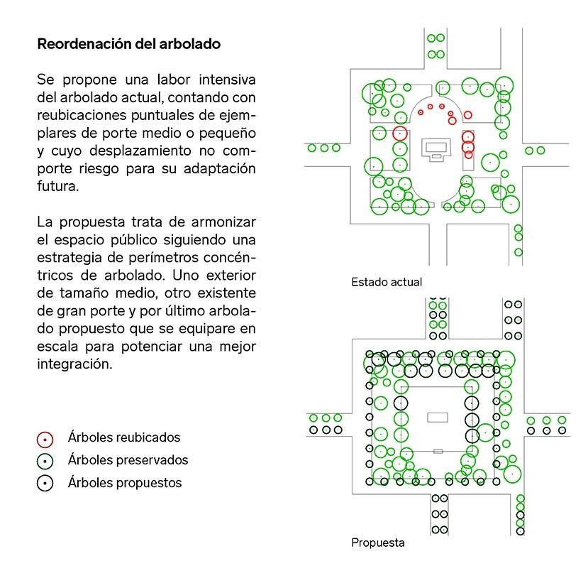 Árboles que serán desplazados y plantados