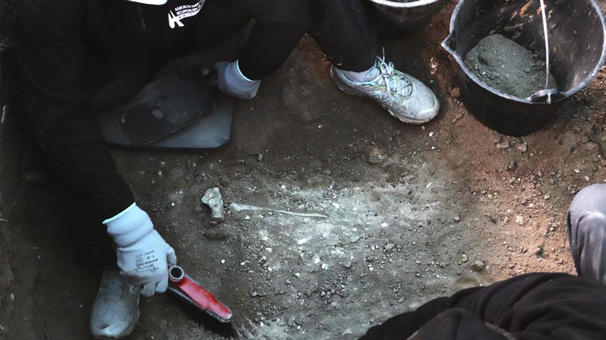 Restos óseos de una pierna encontrados en una fosa común del cementerio de Guadalajara