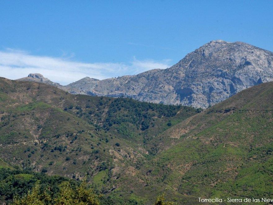 Panorámica del pico Torrecilla, en el Parque Nacional Sierra de Las Nieves.