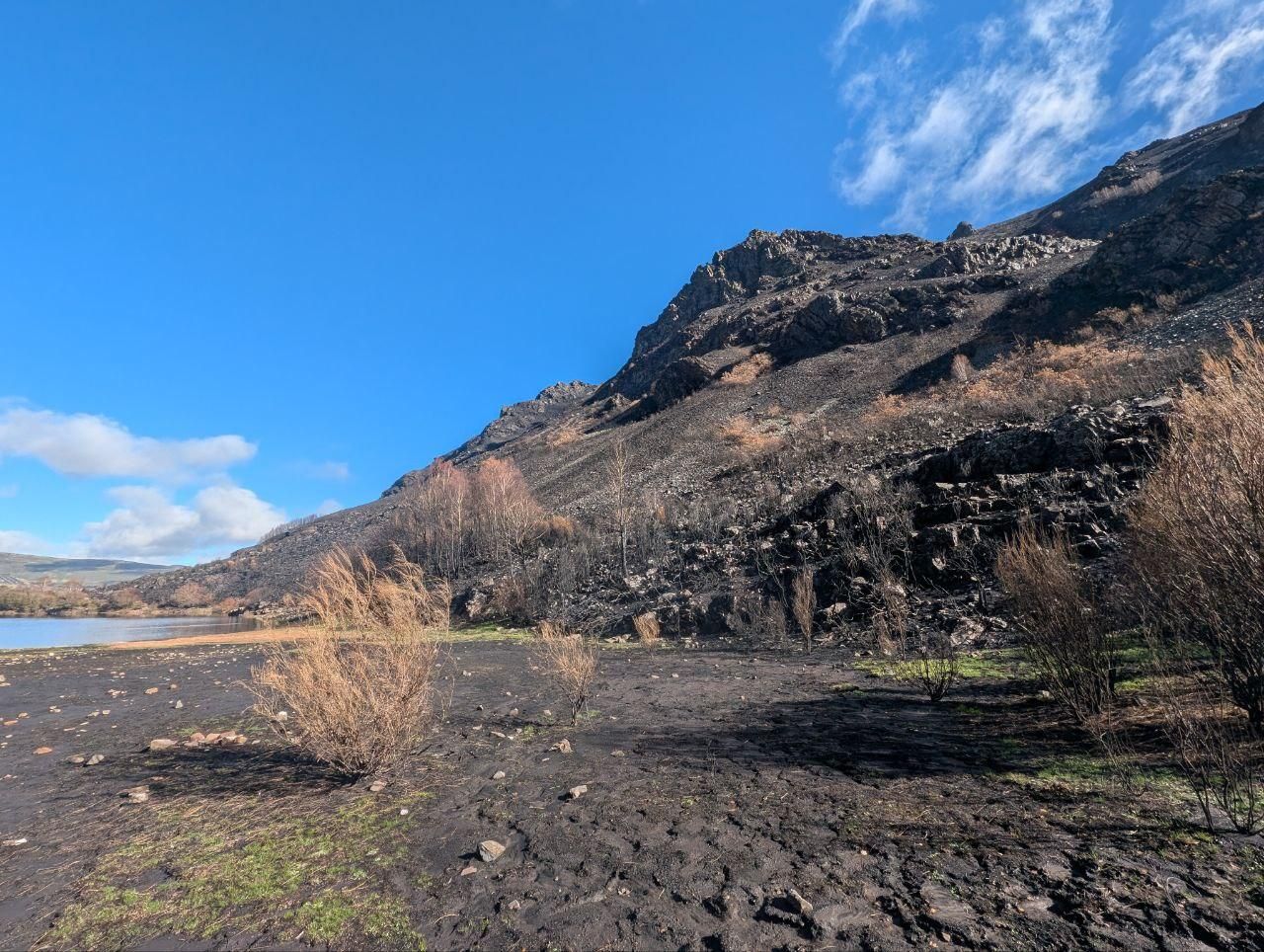 El Lago de la Baña tres meses después de ser arrasado por el fuego