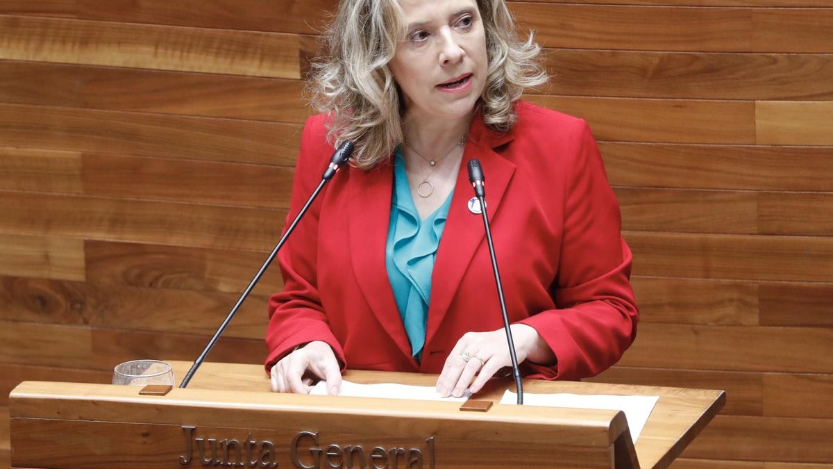 Belarmina Díaz, consejera dimisonaria de Transición Ecológica, Industria y Comercio