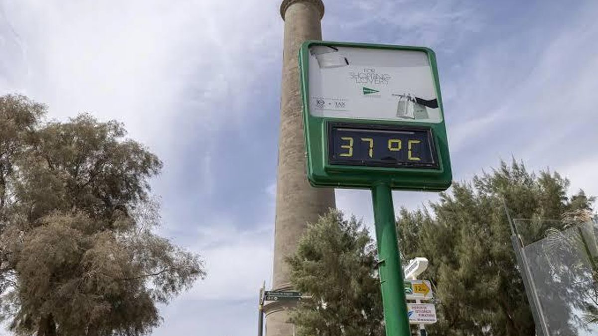 Toda Canarias, en situación de alerta por riesgo de incendios este martes