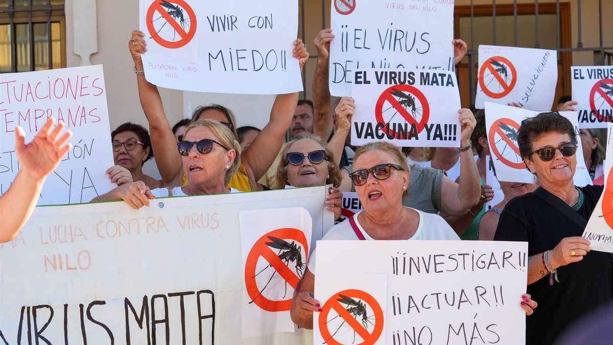 Andalucía encara el virus del Nilo tras el verano negro de 2024: las autoridades siguen a la gresca, pero hacen sus deberes