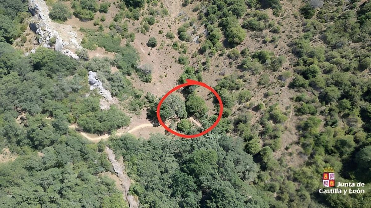 Movilizan un helicóptero para rescatar a un ciclista herido mientras realizaba una ruta en La Pola de Gordón