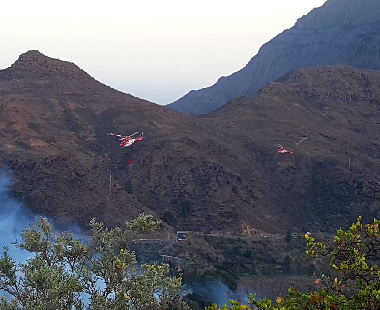 El fuego calcina 35 hectáreas de palmeral en Fataga