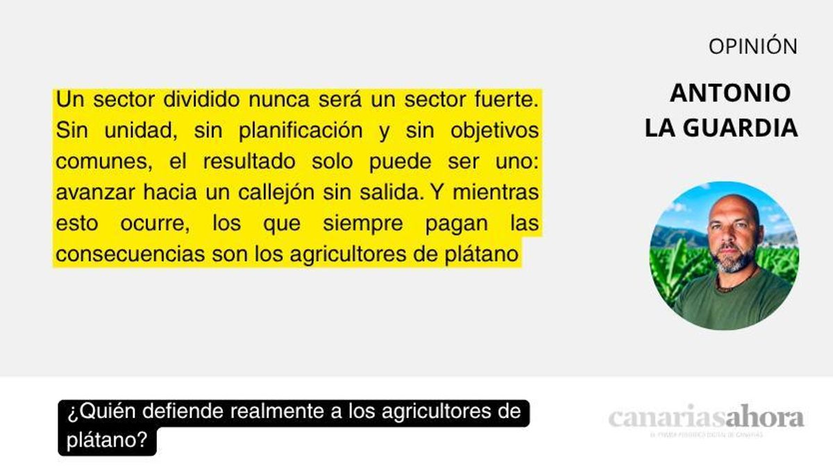 ¿Quién defiende realmente a los agricultores de plátano?