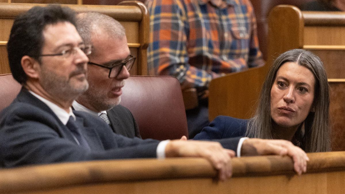 La portavoz de Junts en el Congreso, Miriam Nogueras, durante una sesión plenaria en el Congreso