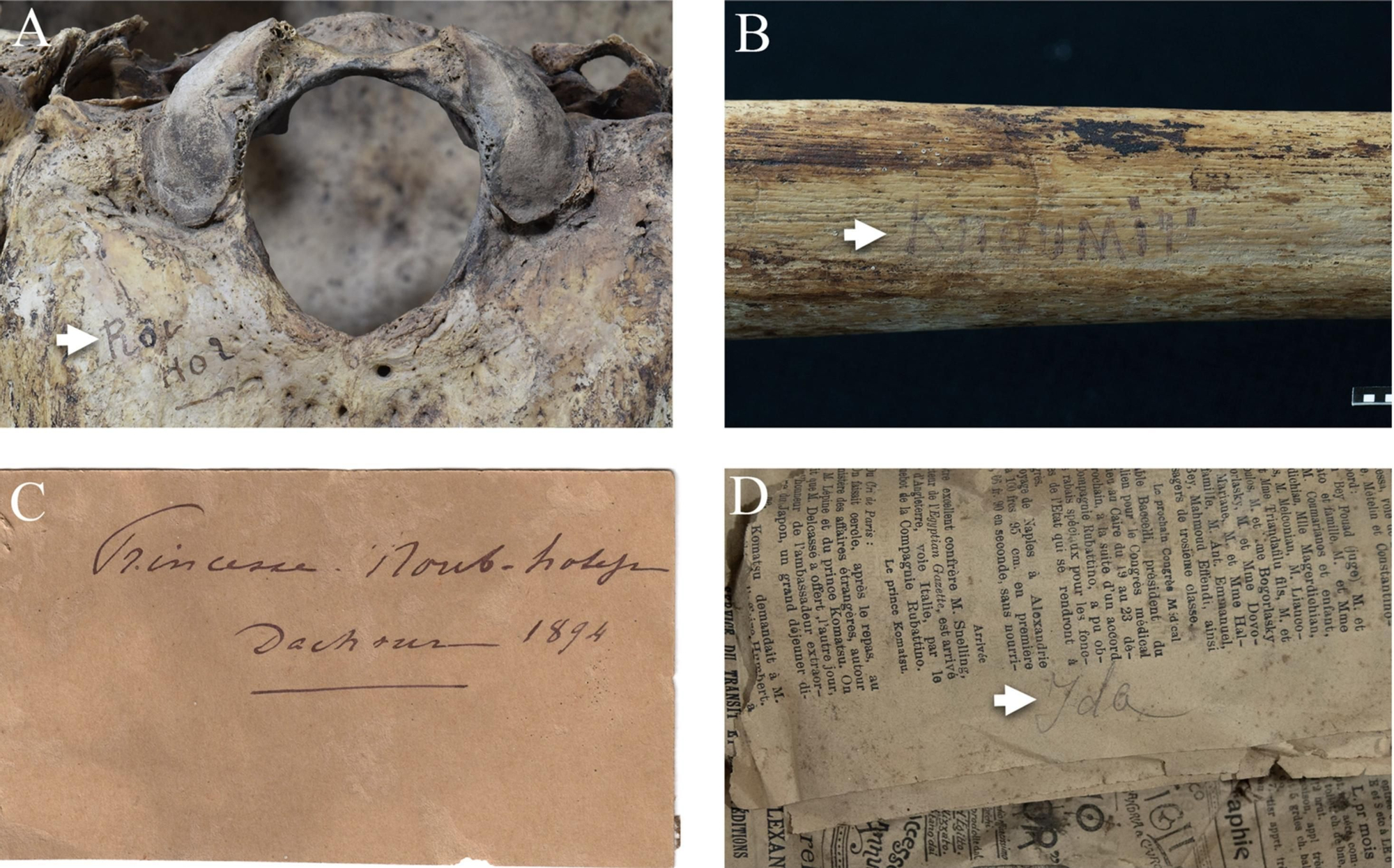 Identificaciones manuscritas originales del siglo XIX conservadas en huesos: (A) Roi Hor escrito en negro junto al foramen magnum del cráneo del rey Hor; (B) KnOUMiT escrito en la cara lateral de la tibia derecha de Khenmit. También, en antiguas etiquetas y materiales de envoltura: (C) princesa: noub hotep / Dachour 1894; (D) Ida escrito en negro en un antiguo periódico utilizado como material de envoltura para los restos de Ita.