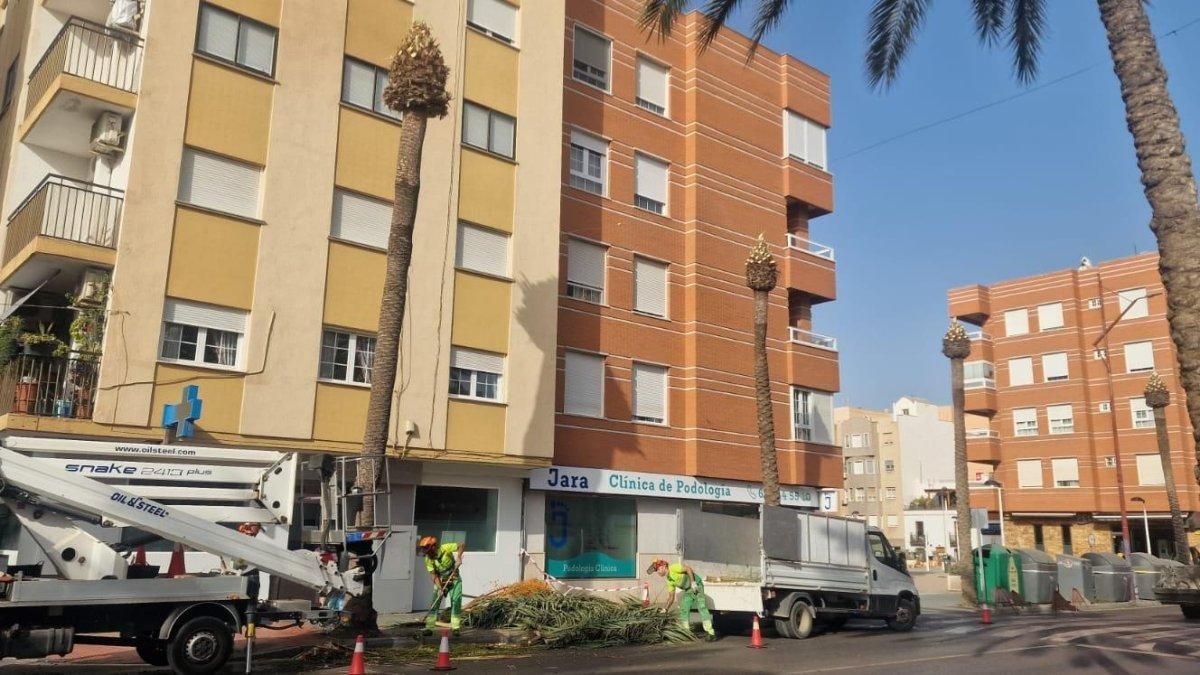 El centro de Almería vive una lenta agonía con obras que se prolongan mucho en el tiempo, calles vacías y vecinos y comercios que se marchan