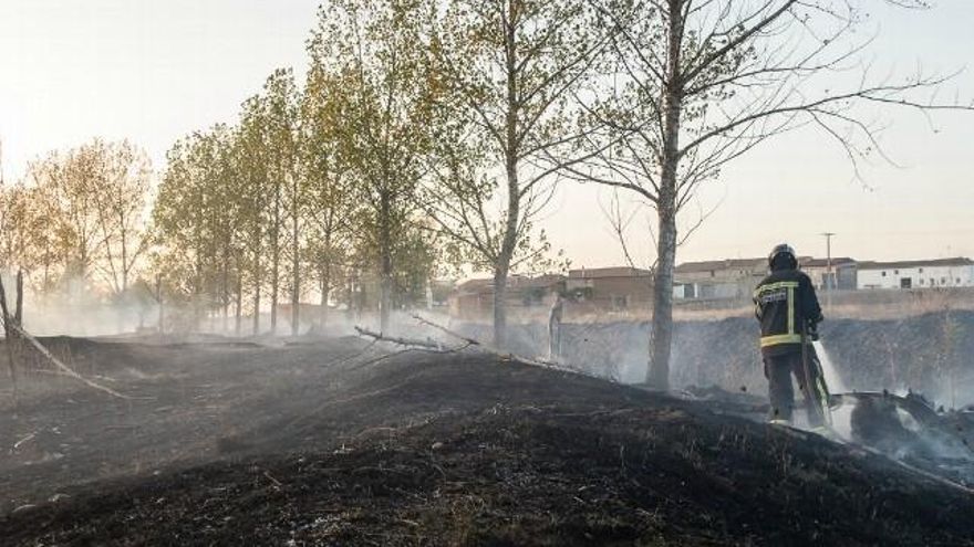 Incendio forestal en Malillos (Santas Martas). / Foto: Bomberos de León