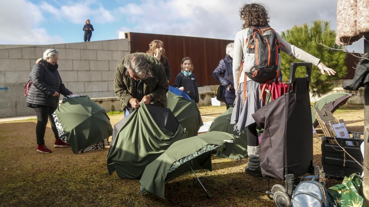AAVV Axerquía y Regina-Magdalena realizan la actividad 'Aquí falta un árbol' en el Parque de Miraflores