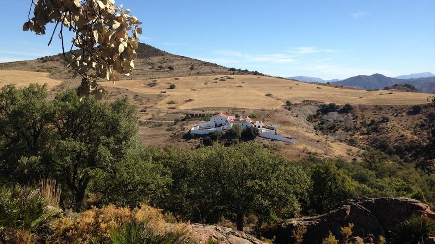 Cinco proyectos de emprendimiento sostenible de Castilla-La Mancha se realizarán gracias al programa 'Secanos Vivos'