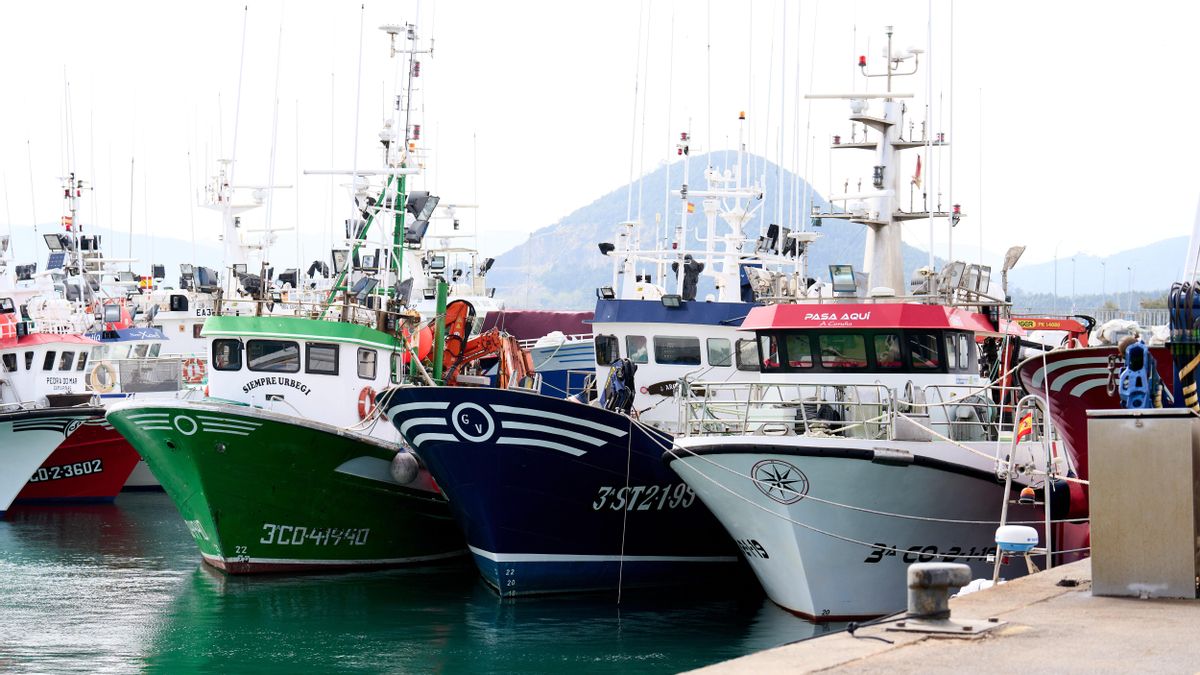 Barcos pesqueros en el puerto de Santoña