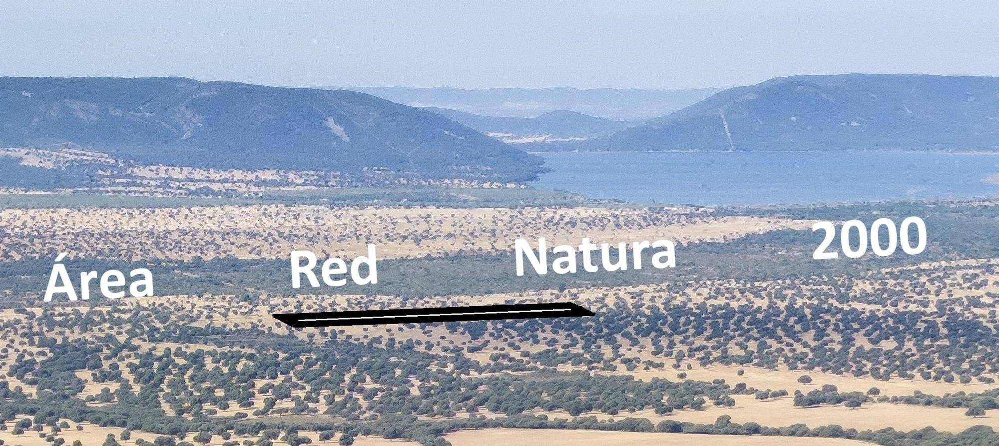 Zona de la Red Natura 2000 junto al futuro aeródromo para jets privados en una finca cinegética cercana al Parque Nacional de Cabañeros
