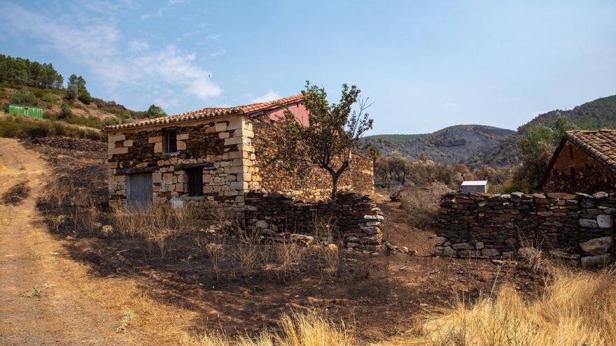 La Asociación Cultural Serranía de Guadalajara impulsa una plataforma ciudadana tras el incendio de La Mierla