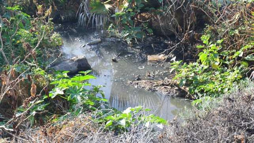 Vertidos del polígono de Güímar.