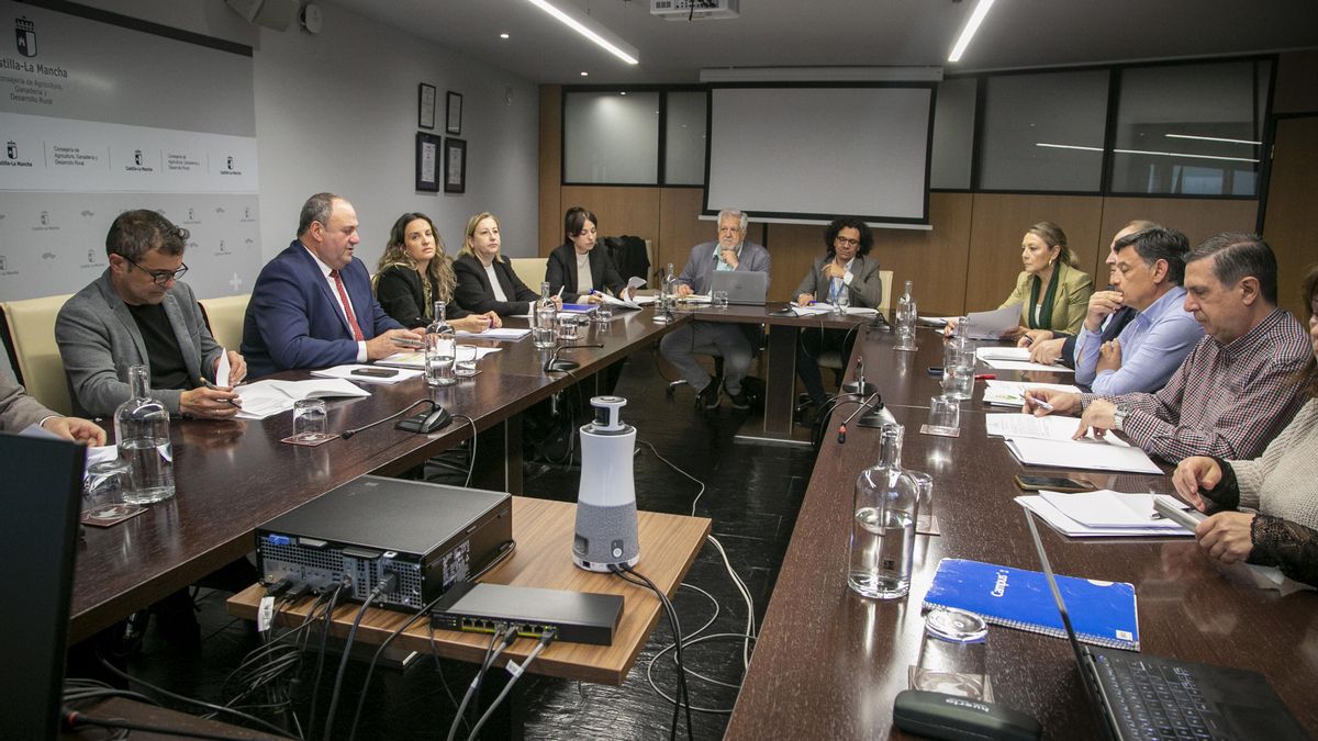 Castilla-La Mancha afianza la posición común sobre la futura PAC perfilando sus líneas de actuación
