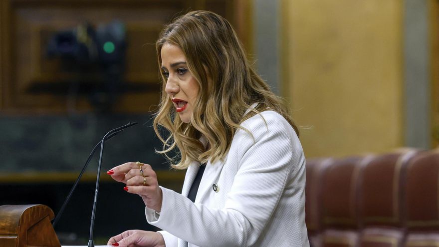 La diputada del PP Sofía Acedo Reyes interviene en el pleno del Congreso