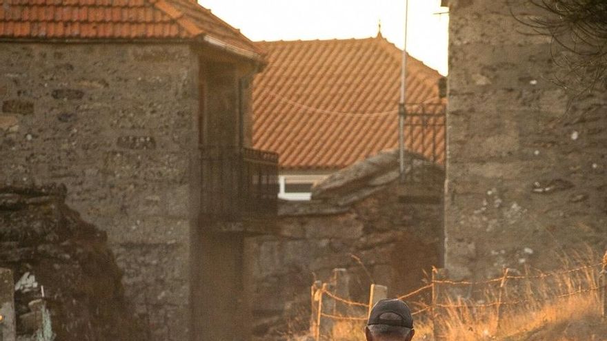 UPA, dispuesta a dar la batalla para que los pastores tradicionales no queden expulsados de las ayudas de la PAC