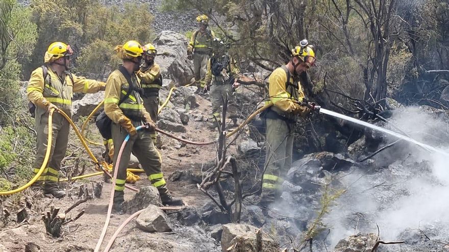 Brigadas forestales de Puntagorda, La Palma, en el incendio de Los Realejos