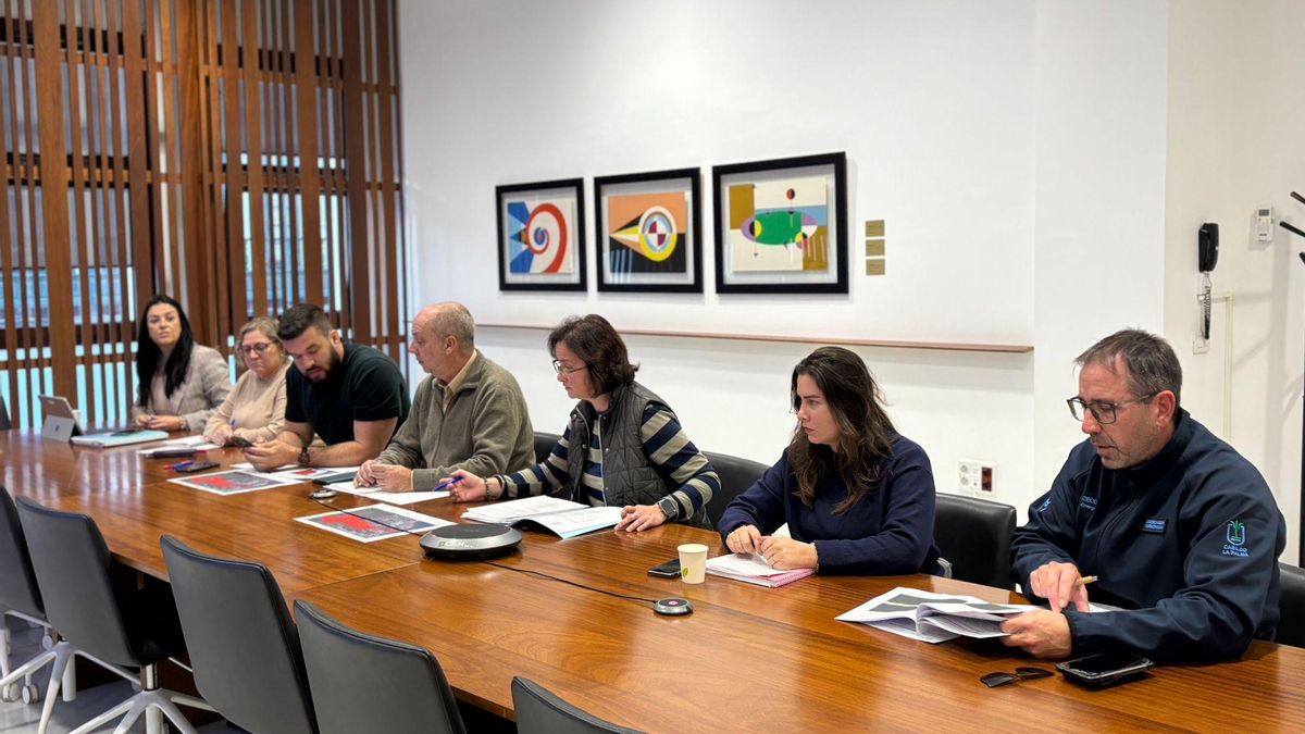 Reunión del comité del Plan de Emergencias Insular de La Palma (Peinpal)
