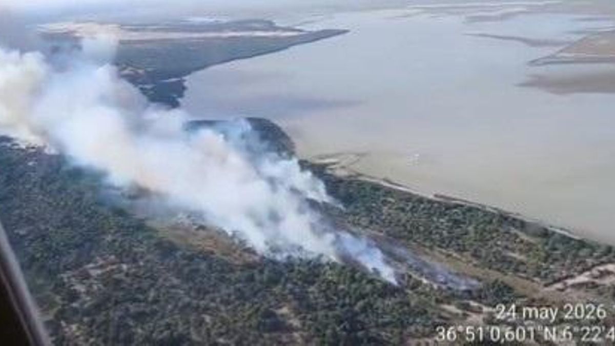 Dos incendios forestales afectan al entorno de Doñana y la Junta habla de "posible intencionalidad"