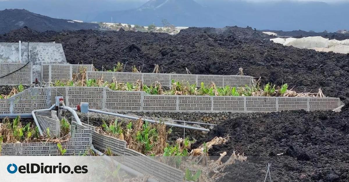 El Consejo de Ministros prorroga la deducción del 60% en el IRPF y los 100 millones para la reconstrucción