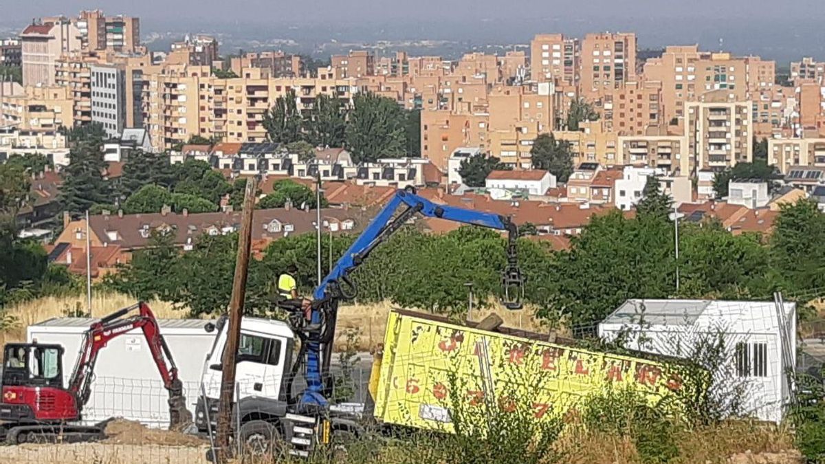 Foto de un vecino después de la tala publicada por @sarimacos en Twitter