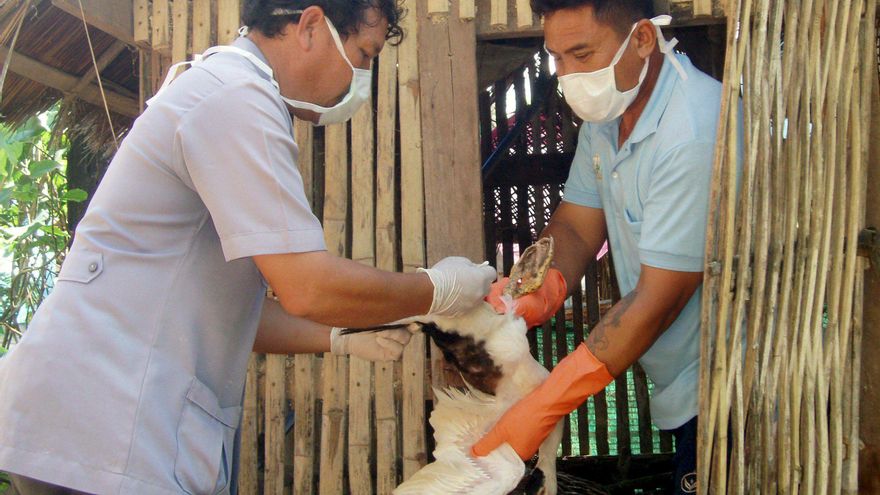 Tailandia insta a evitar la ingesta de carne cruda tras la muerte por antrax de un hombre