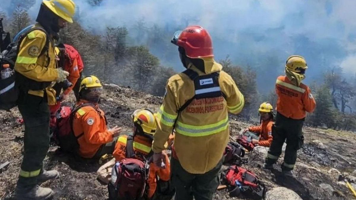Los incendios forestales arrasaron más de 60 mil hectáreas en la Patagonia y dejaron la peor temporada en 60 años