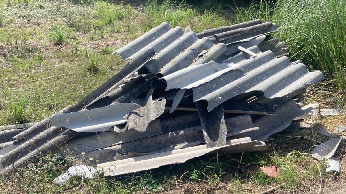 Ecologistas en Acción y Verdes Equo solicitan información ambiental sobre el proyecto del vertedero de amianto