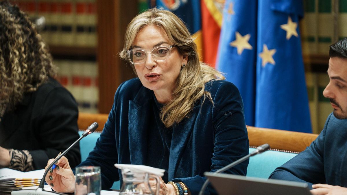 La consejera canaria de Sanidad pide perdón al conocer el caso de una médico que incitó al suicidio a una paciente