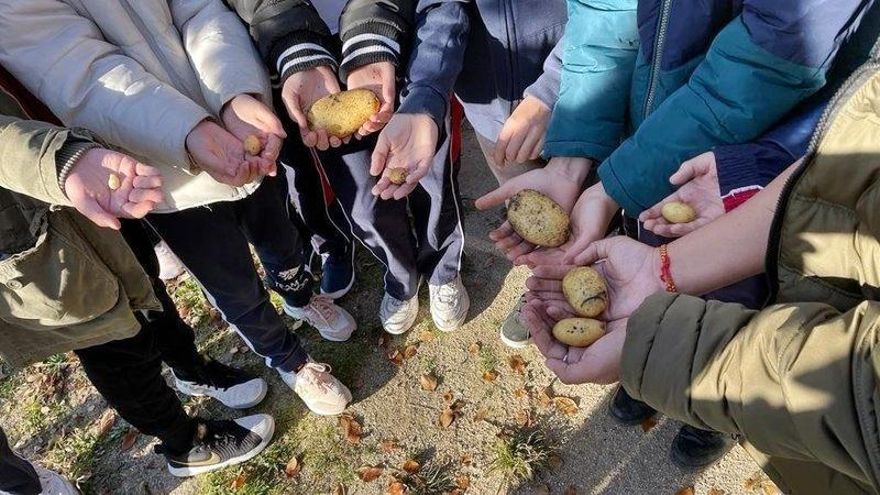 Almeida recula y devuelve el Huerto de Las Vías a los vecinos de Arganzuela que firmaron su cesión