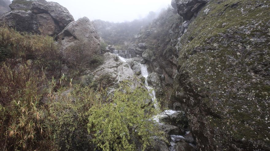 Ayacata. ALEJANDRO RAMOS.