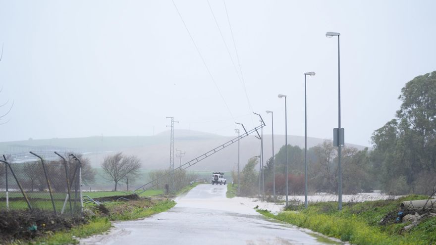 Caída del tendido eléctrico en la carretera de Villamartín a Bornos en la provincia de Cádiz provocado por la borrasca Leonardo.