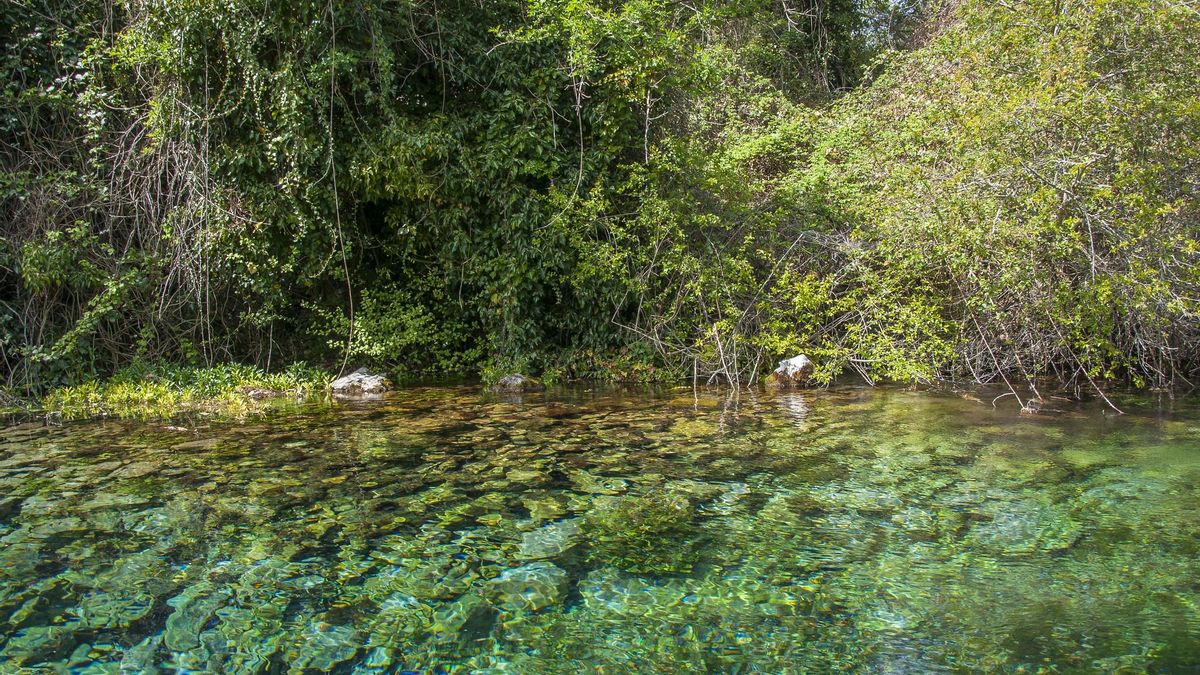 Aguas cristalinas en el nacimiento del Río Negro, la principal fuente del Lago Ohrid.