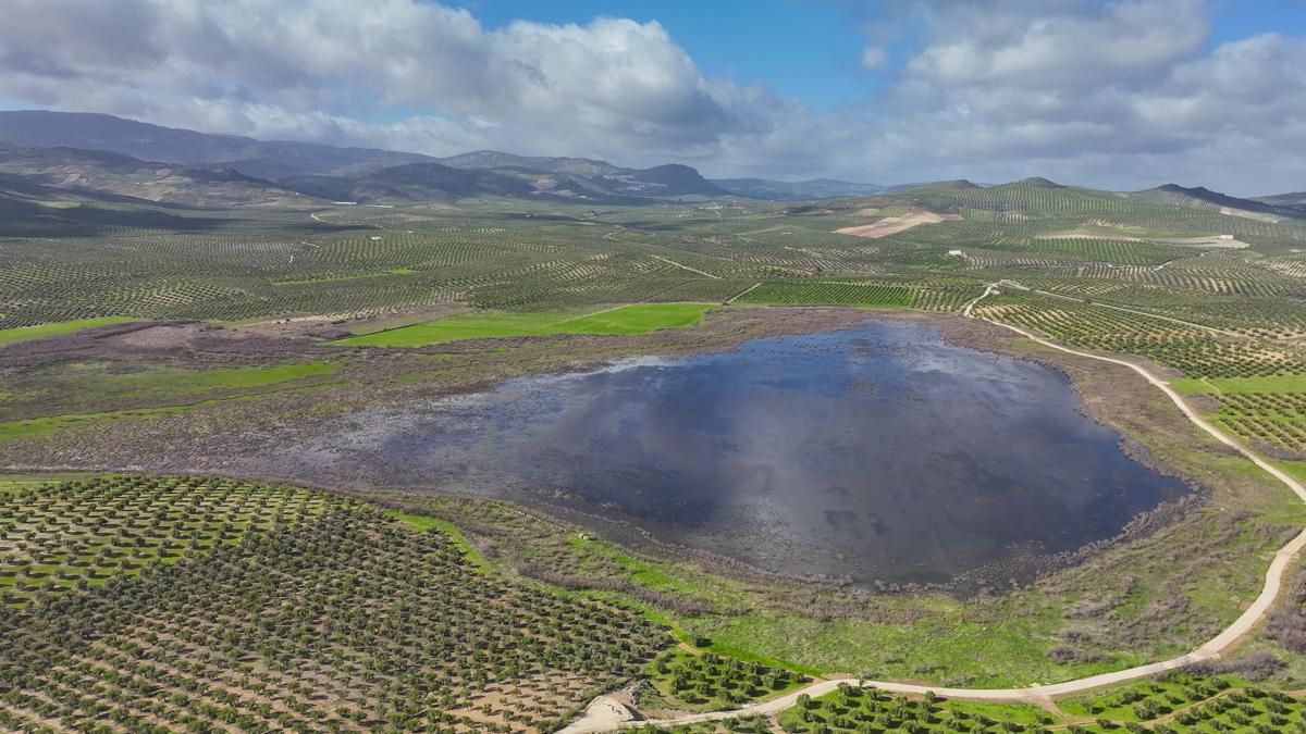 Laguna del Conde o Salobral en Luque.