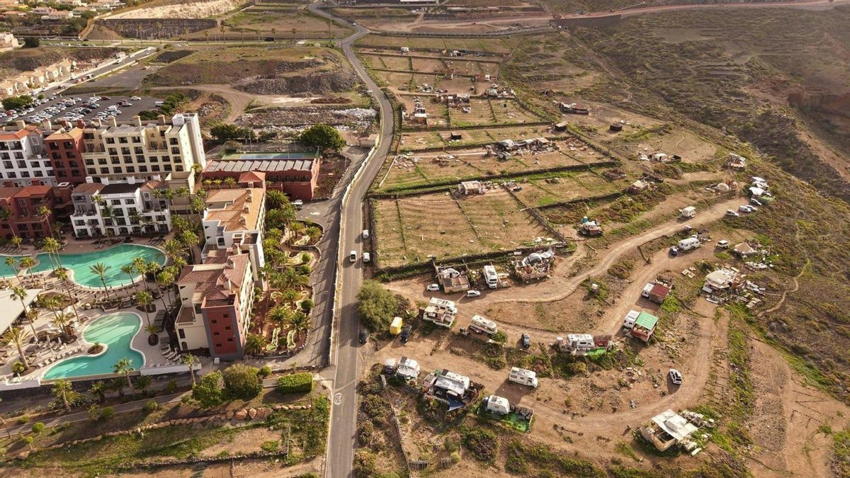 Detenido un hombre en Adeje por la presunta muerte de un perro quemado vivo