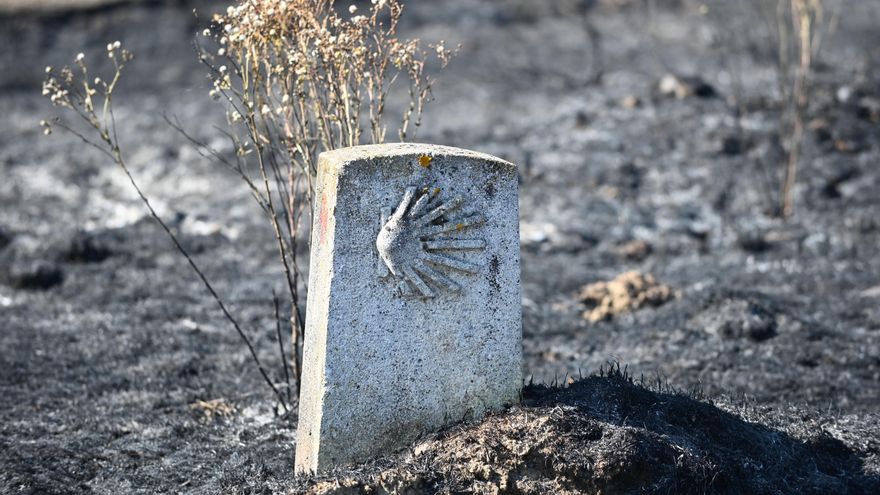 Si cada año hay menos incendios y arden menos hectáreas, ¿por qué los expertos están más preocupados que nunca?