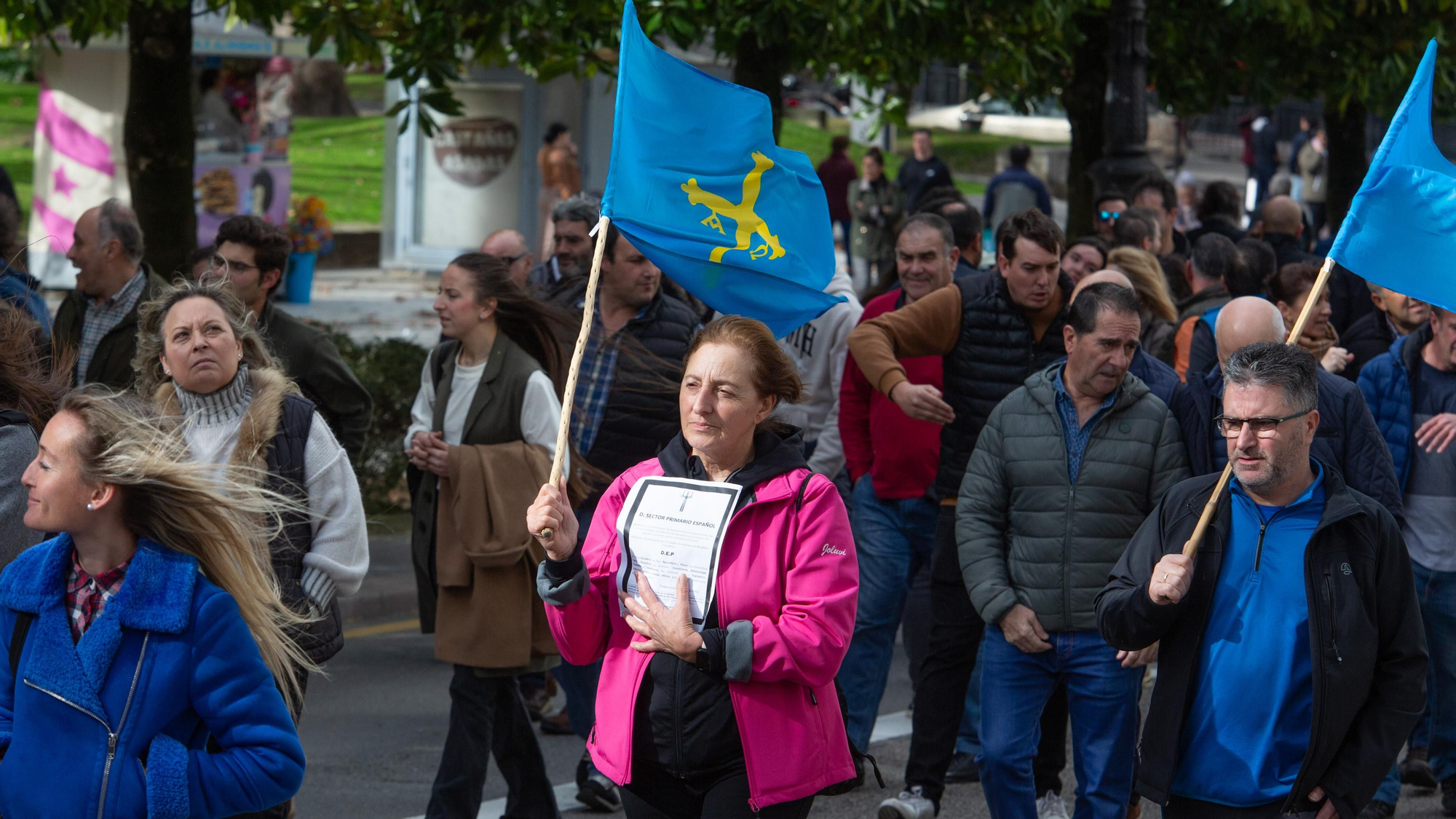 Manifestación que recorrió las calles de Oviedo