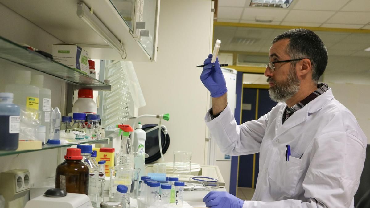 La Fundación Gates financia una pionera investigación contra la anemia en la Universidad de León