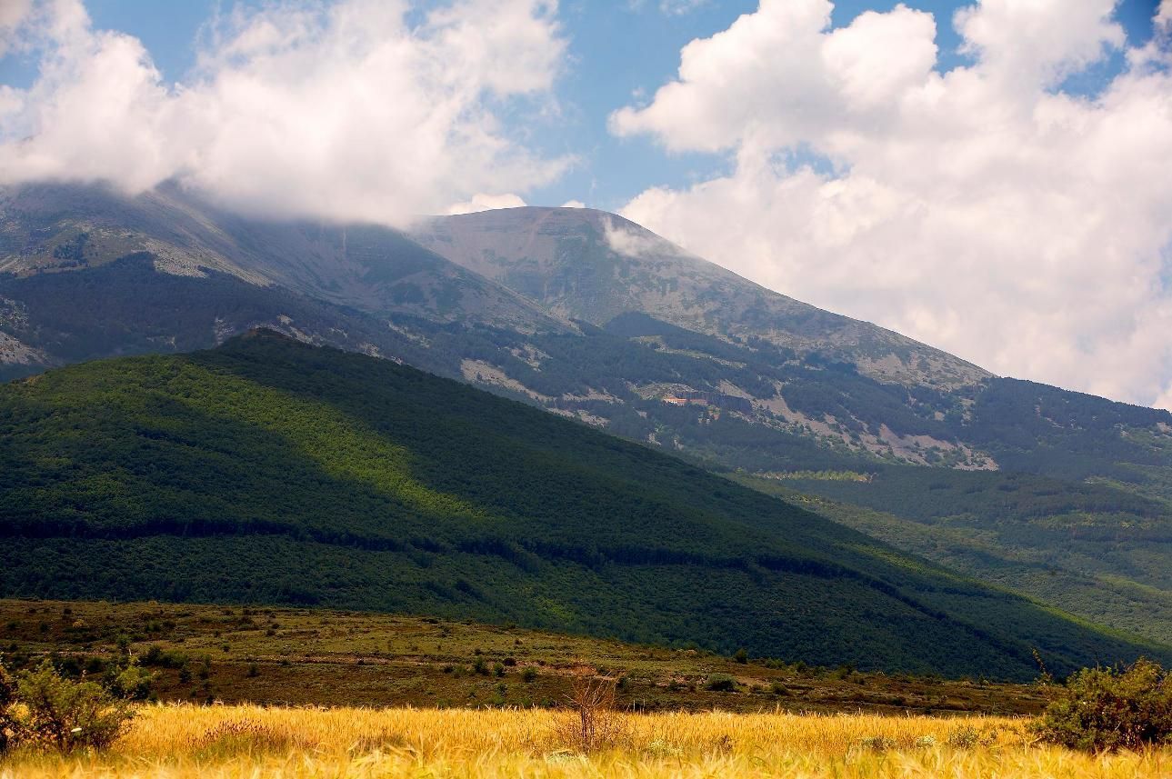 Parque Natural del Moncayo.
