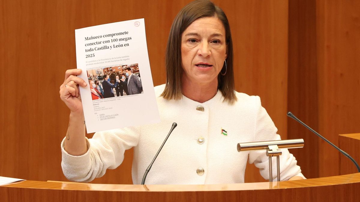 La procuradora socialista, Laura Pelegrina, este miércoles en el pleno.