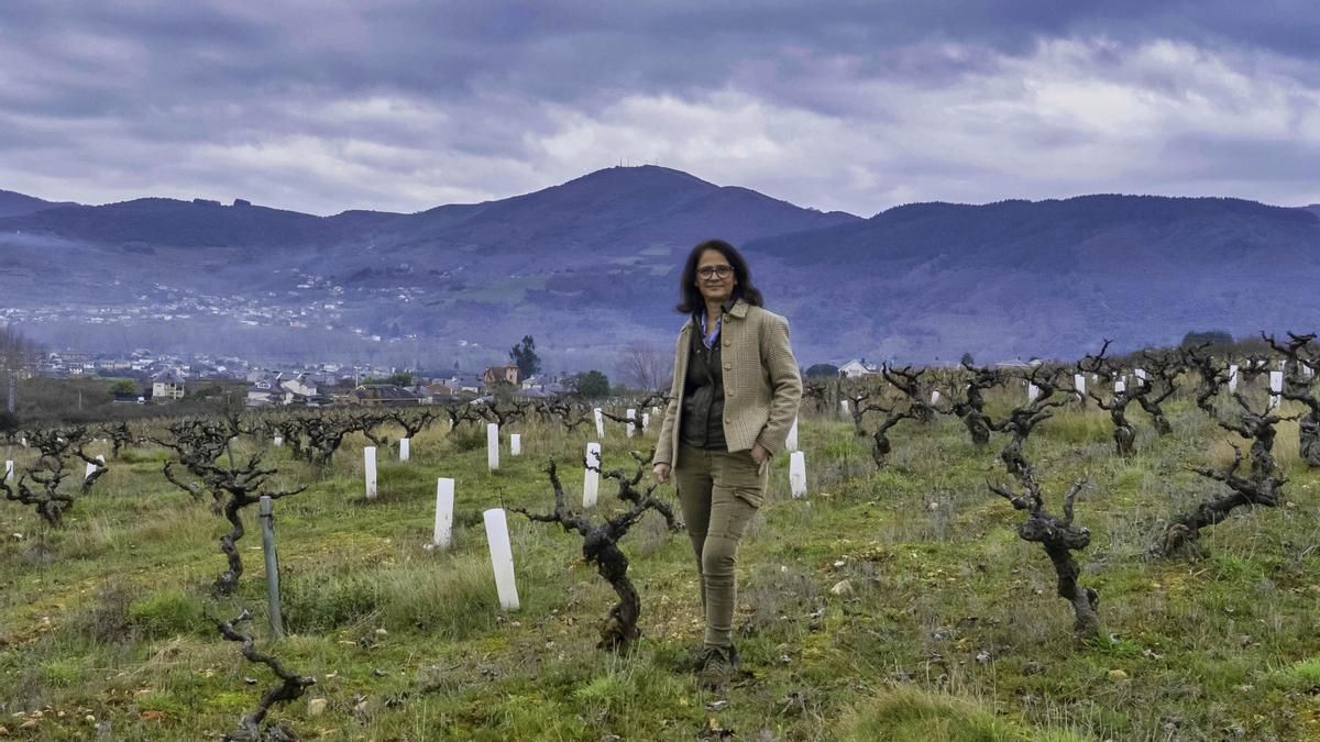 Consuelo Ysart, presidenta de Bierzo Enoturismo.