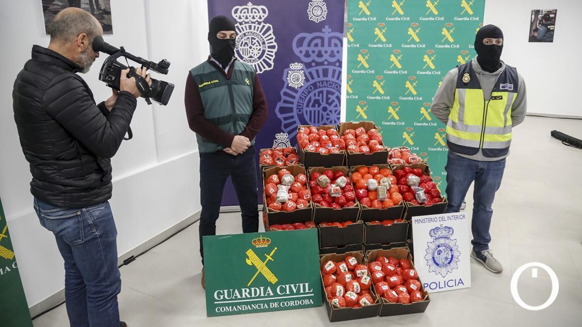Alijo de la operación Califa Trucks, donde se incautaron 20 toneladas de hachís camufladas como tomates