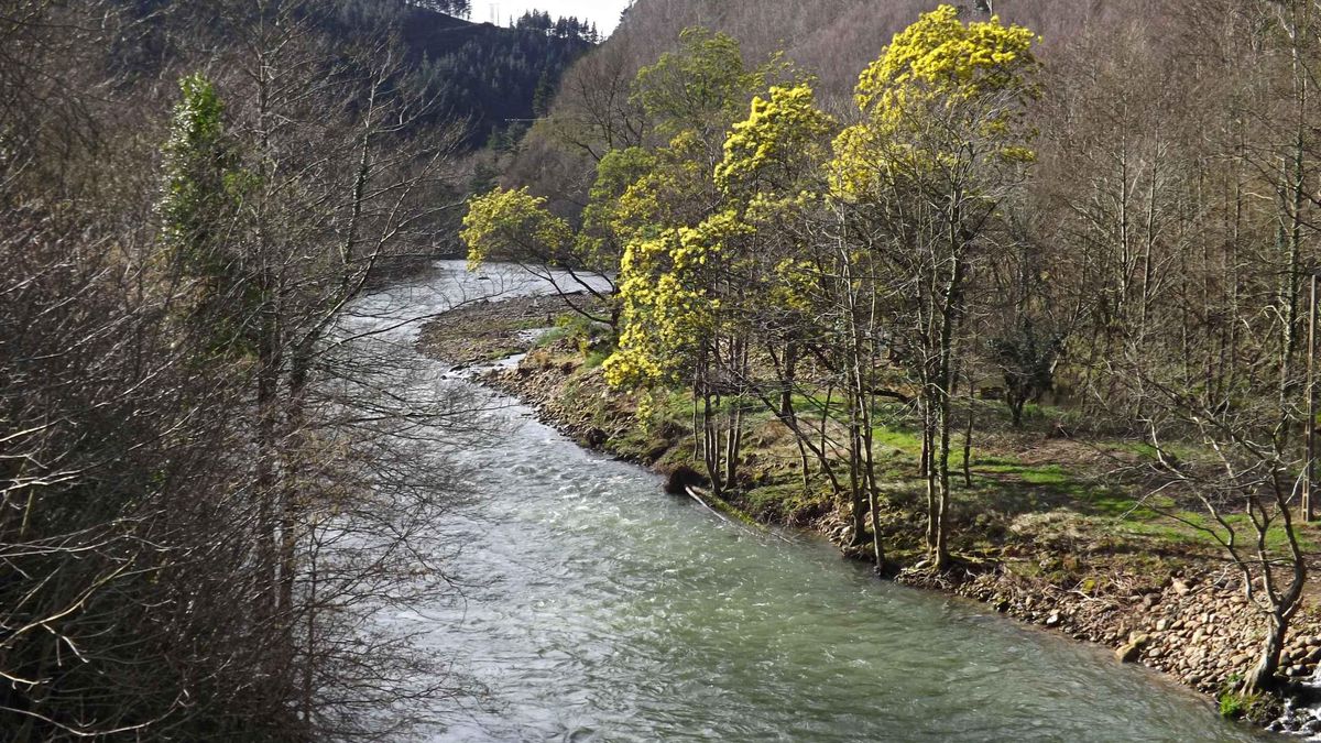 El Saja protagoniza el capítulo del programa 'Ríos' que La 2 emitirá este domingo