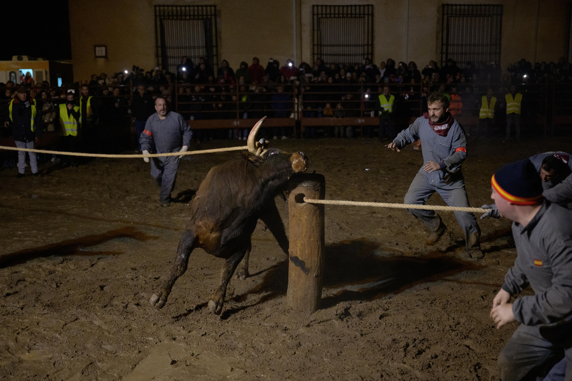 Toro Jubilo 2025