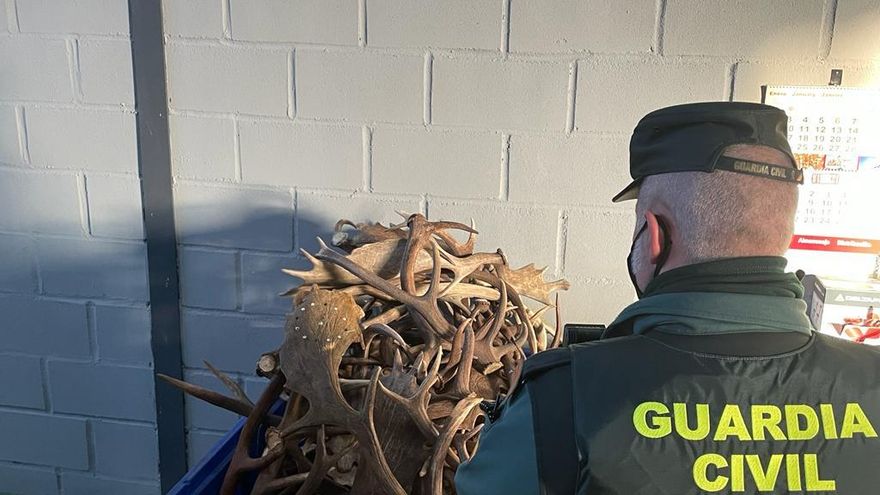 Denunciado el conductor de una furgoneta cargada de astas de ciervo que circulaba a gran velocidad
