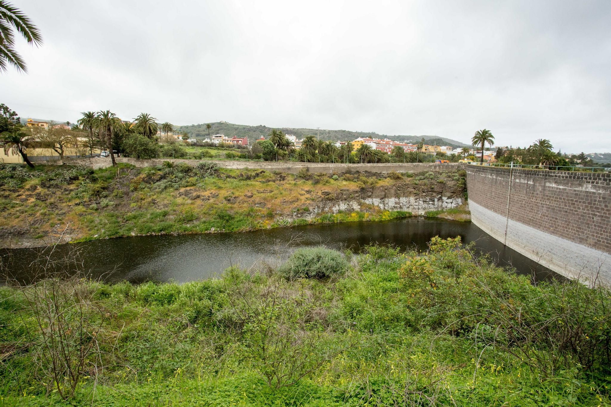Recorrido institucional por el Barranco del Guiniguada en el Día Mundial del Agua.